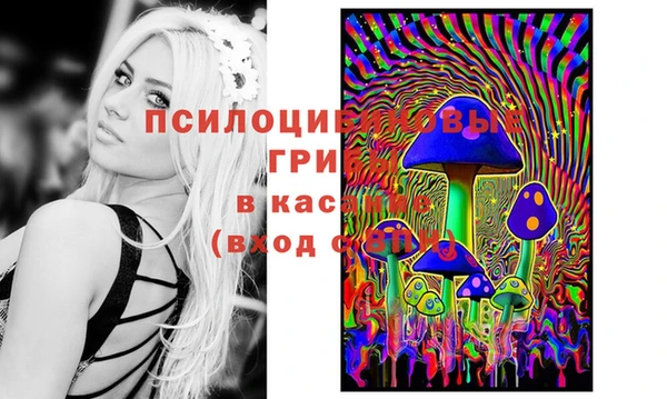 PSILOCYBIN Алексин