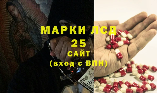 шишки Абинск